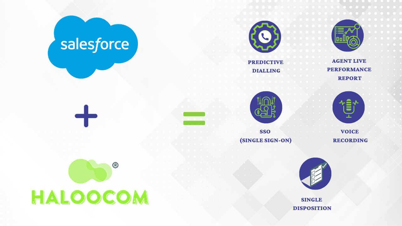 Case Study: Salesforce CRM and Haloocom Integration