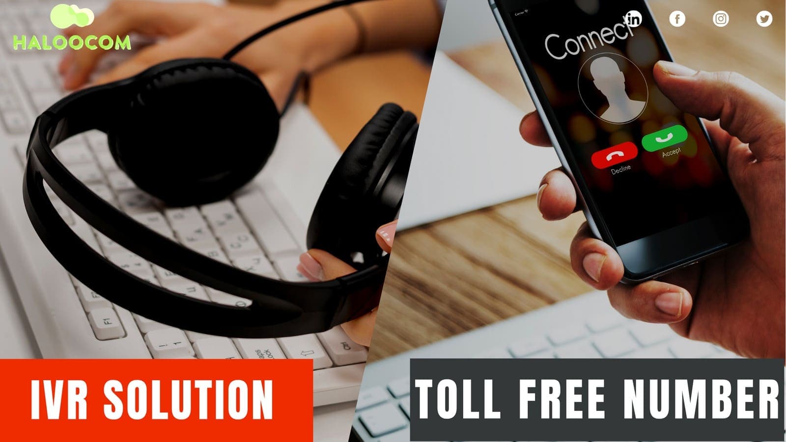 Toll-Free Number Vs IVR Solution: You Need to Know to Get Started